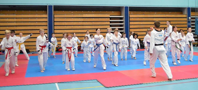 Lisburn Taekwondo Club Saturday Kids Class
